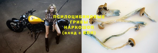 MESCALINE Кинешма