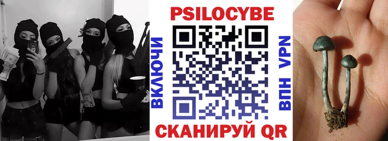Галлюциногенные грибы Magic Shrooms mega Касли сколько стоит